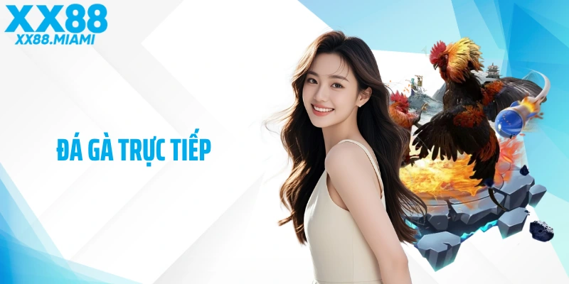 Đá Gà Trực Tiếp Tại XX88 - Trải Nghiệm Sắc Nét Và Kịch Tính